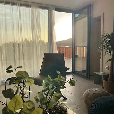 Vila Dvorecna